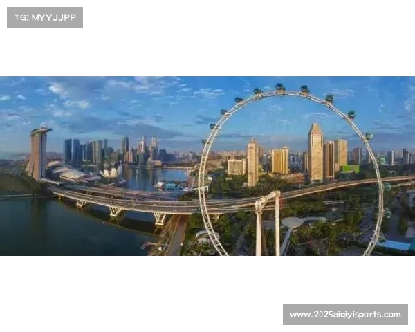 博斯科维奇登摩天轮俯瞰深圳夜景 照片曝光引发百万热议